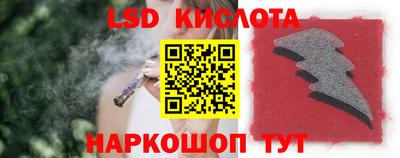 амф Бийск
