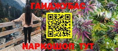 амф Бийск